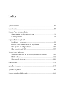 La construcción de Argentina y Bolivia en los Andes Meridionales. Población, tierras y ambiente en el siglo XIX / Gil Montero, Raquel - comprar online