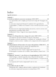 Desde la empresa. Firmas familiares y estructura empresarial en la industria azucarera tucumana 1895-1930 / Moyano, Daniel - comprar online