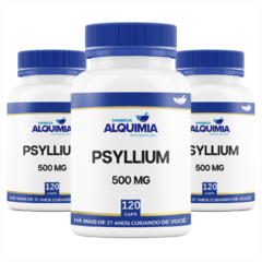 Plantago Ovata 500 Mg 120 Cápsulas - Psyllium - Farmácia Alquimia