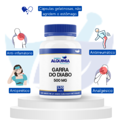 Garra Do Diabo 500 Mg 120 Cápsulas - Combate Reumatismo, Artrite E Artrose - comprar online