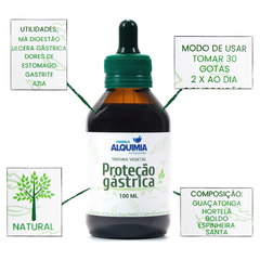 Proteção Gástrica Tintura Vegetal Natural 100 ML - comprar online