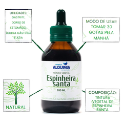 Espinheira Santa Tintura Vegetal 100 - ML - comprar online