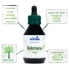 Tintura Vegetal Valeriana 100 ML - comprar online