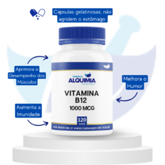 Vitamina B12 - Metilcobalamina - 1000 MCG 120 Cápsulas - comprar online
