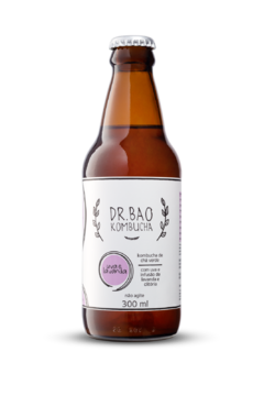 Caixa Dr. Bao Kombucha 24 unidades - comprar online