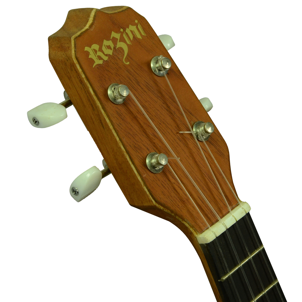 Ukulele 2024 rozini concert