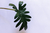 Mini Split Pylo Leaf - comprar online
