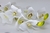 Orquídea Branca2 - comprar online