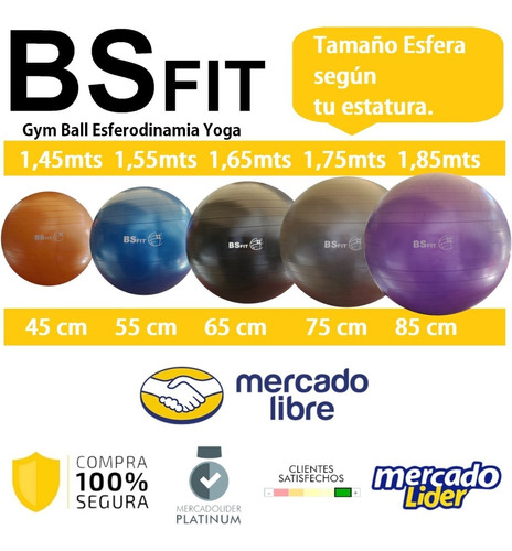 Pelota Esferodinamia De 75 Cm Fit Gym Swiss Ball Pilates Yoga