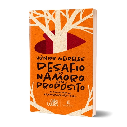 Livro Desesperar, Thayse Portela, O Guia Prático Para Esperar A Pessoa  Certa Sem Desespero, Editora Vida