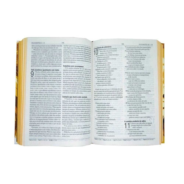 Bíblia Letra Grande Dourada Leão, Livro Nunca Usado 54278088