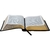 biblia-sagrada-ntlh-letra-grande-preta-sbb-int-36427-min