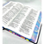 Bíblia Sagrada NVT Lion Color Letra Grande Borda Colorida - loja online