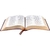 biblia-sagrada-ra-letra-gigante-indice-marrom-sbb-int-17273-min