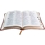 biblia-sagrada-ra-letra-gigante-marrom-sbb-int2-29484-min