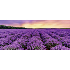 Flores de Lavanda x 100 Gr - comprar online