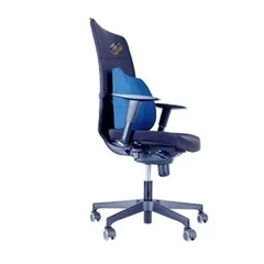 Asiento Respaldo Anatomico 2 En 1 Tela Dry Fit Schwartz - Storeweb. Tienda de Salud