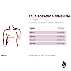 Faja Torácica Femenina DEMA en internet