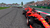 F1 2019 ANNIVERSARY EDITION SEMINOVO - PS4 - comprar online