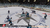 NHL 2K8 SEMINOVO - PS3 - comprar online