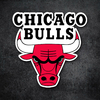 basquet escudo chicago bulls - comprar online