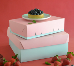 CAJA PASTELERIA TAKE AWAY BICOLOR X 25 en internet