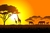Painel de Tecido Sublimado Safari África Por do Sol