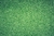 Tapete Em Lona Folhas Verdes de Grama 300x200cm