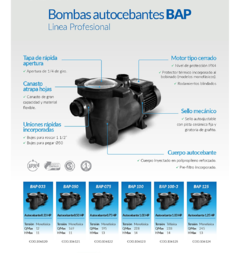 Electrobomba Autocebante Modelo BAP 100-3 - comprar online
