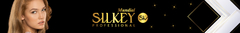Banner de la categoría Silkey Professional
