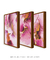 Kit com 3 Quadros Decorativos Rosa e Ouro na internet
