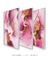 Imagem do Kit com 3 Quadros Decorativos Rosa e Ouro