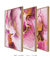Kit com 3 Quadros Decorativos Rosa e Ouro - comprar online