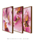 Kit com 3 Quadros Decorativos Rosa e Ouro - loja online