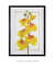 Quadro Decorativo Flores Orquídeas Cymbidium - loja online