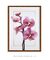 Quadro Decorativo Flores Orquídeas Phalaenopsis na internet