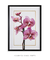 Quadro Decorativo Flores Orquídeas Phalaenopsis - loja online
