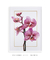 Quadro Decorativo Flores Orquídeas Phalaenopsis
