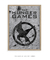Quadro Decorativo The Hunger Games - loja online
