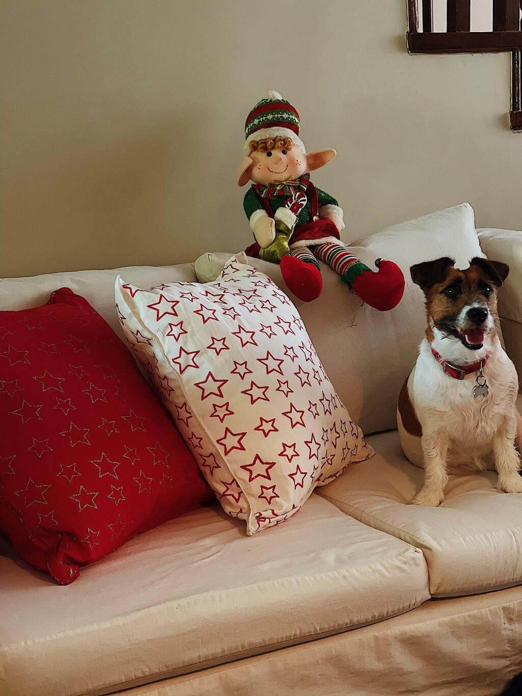 Fundas de almohadas estampadas hot sale