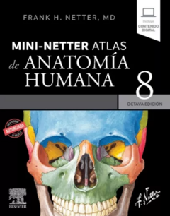 MINI-NETTER ATLAS DE ANATOMÍA HUMANA - 8ª Ed - NETTER