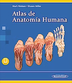 ATLAS DE ANATOMIA HUMANA - INCLUYE VERSION DIGITAL - NIELSEN