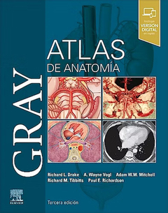 GRAY Atlas de Anatomía 3ra ed - Drake / Vogl / Mitchell / Tibbitts / Richardson