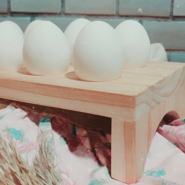Estas hueveras son perfectas para organizar la nevera y transportar los  huevos con seguridad, Escaparate: compras y ofertas