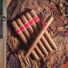 HABANOS - PUROS - CIGARROS - CIGARS - PUROS ARGENTINOS