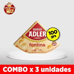 Queso para untar de fontina ADLER 100grs COMBOX3