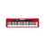 Teclado Casio 61 teclas Standa-Rojo - comprar online