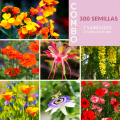Combo 300 semillas florales OTOÑO/INVIERNO (7 variedades) - comprar online