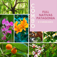 615 Combo Full Nativas Patagonia (8 variedades)