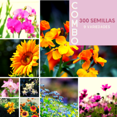 Combo 300 semillas florales PRIMAVERA/VERANO (9 variedades) - comprar online